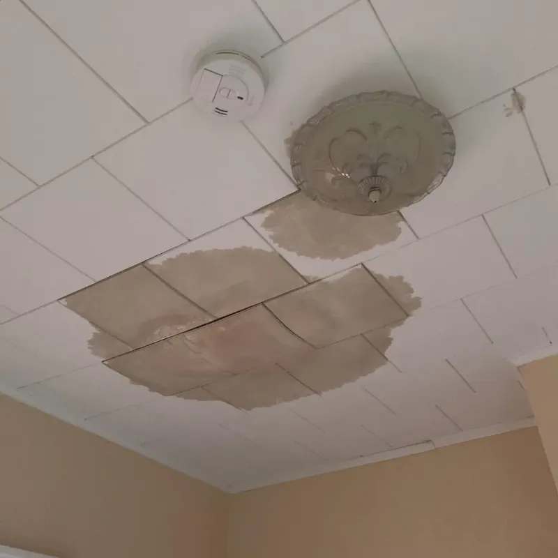 Ceiling Water Damage Repair in Page County, IA