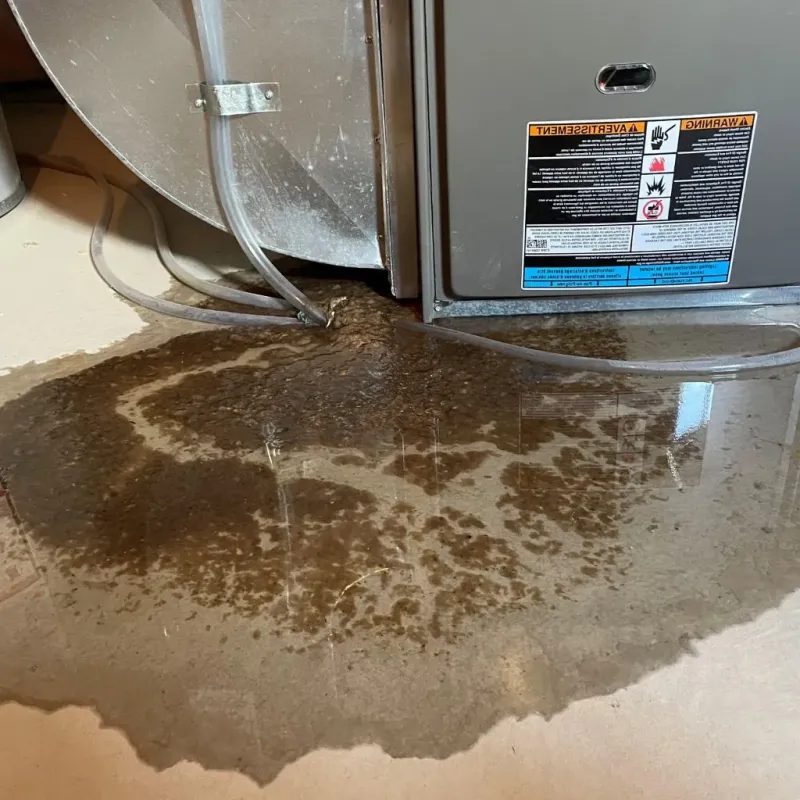 Pipe Burst and Leak Restoration in Page County, IA