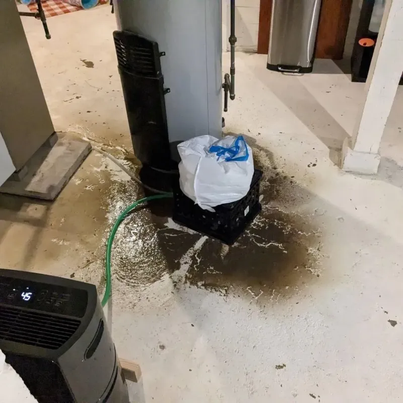 Sewage Backup Cleanup Service in Page County, IA
